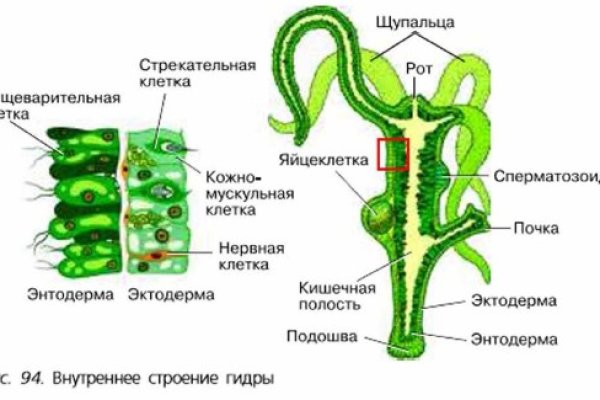 Сайт мега через впн